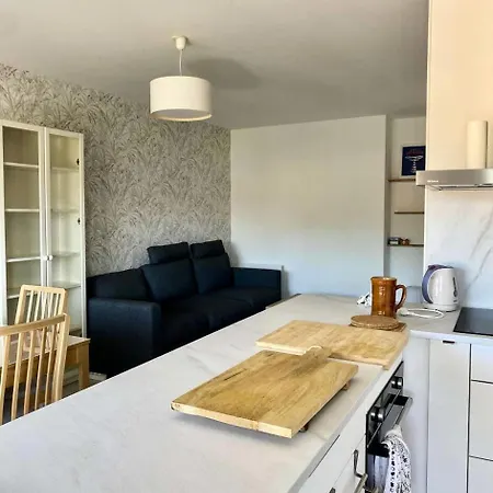 Résidence Les Oyats - T3 Rénové 55m², Balcon Sud&parking – Centre-ville Mae-9734